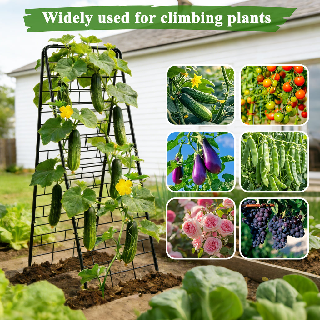 A-Frame Garden Trellis for Climbing Plants, 2 Pack 50" Heavy Duty Metal Tomato Trellis, Rustproof Steel Cucumber Trellis with Stakes, Foldable Plant Support for Raised Beds, Vegetables & Vines(Black)
