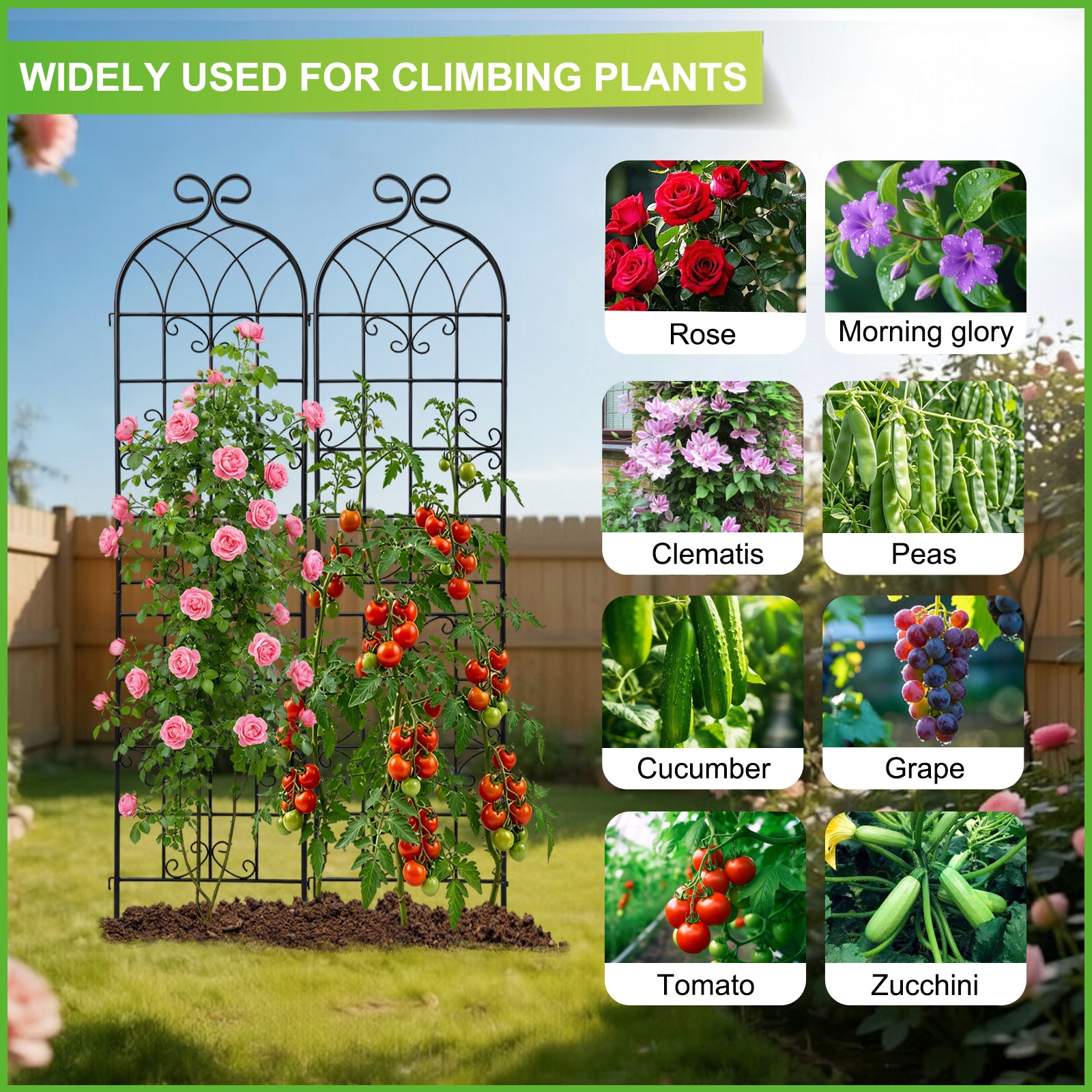 2 Pack 87.8x20in Rustic Iron Arch Decoration Garden Trellis with Black Metal Coating – Perfect for Supporting Climbing Plants Outdoor, Roses, Vines, Flowers, and Vegetables.