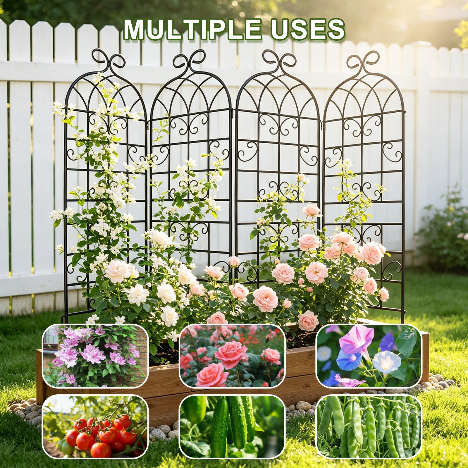 4 Pack 72x20in Rustic Iron Arch Decoration Garden Trellis with Black Metal Coating – Perfect for Supporting Climbing Plants Outdoor, Roses, Vines, Flowers, and Vegetables.