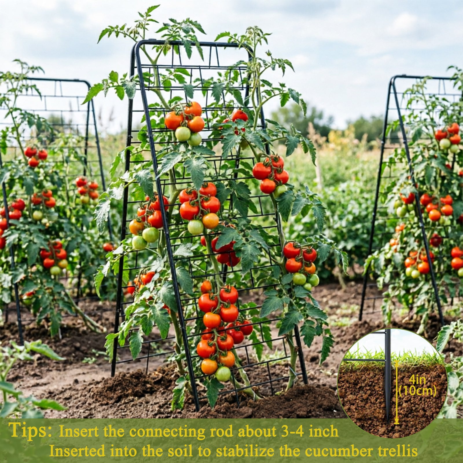 50"x17" A-Frame Cucumber Trellis for Raised Bed, Heavy Duty All-Metal Support for Climbing Plants, Cucumbers, Tomatoes & Beans, Easy Assembly, with Bonus Shears & Accessories, 1 Pack, Black,
