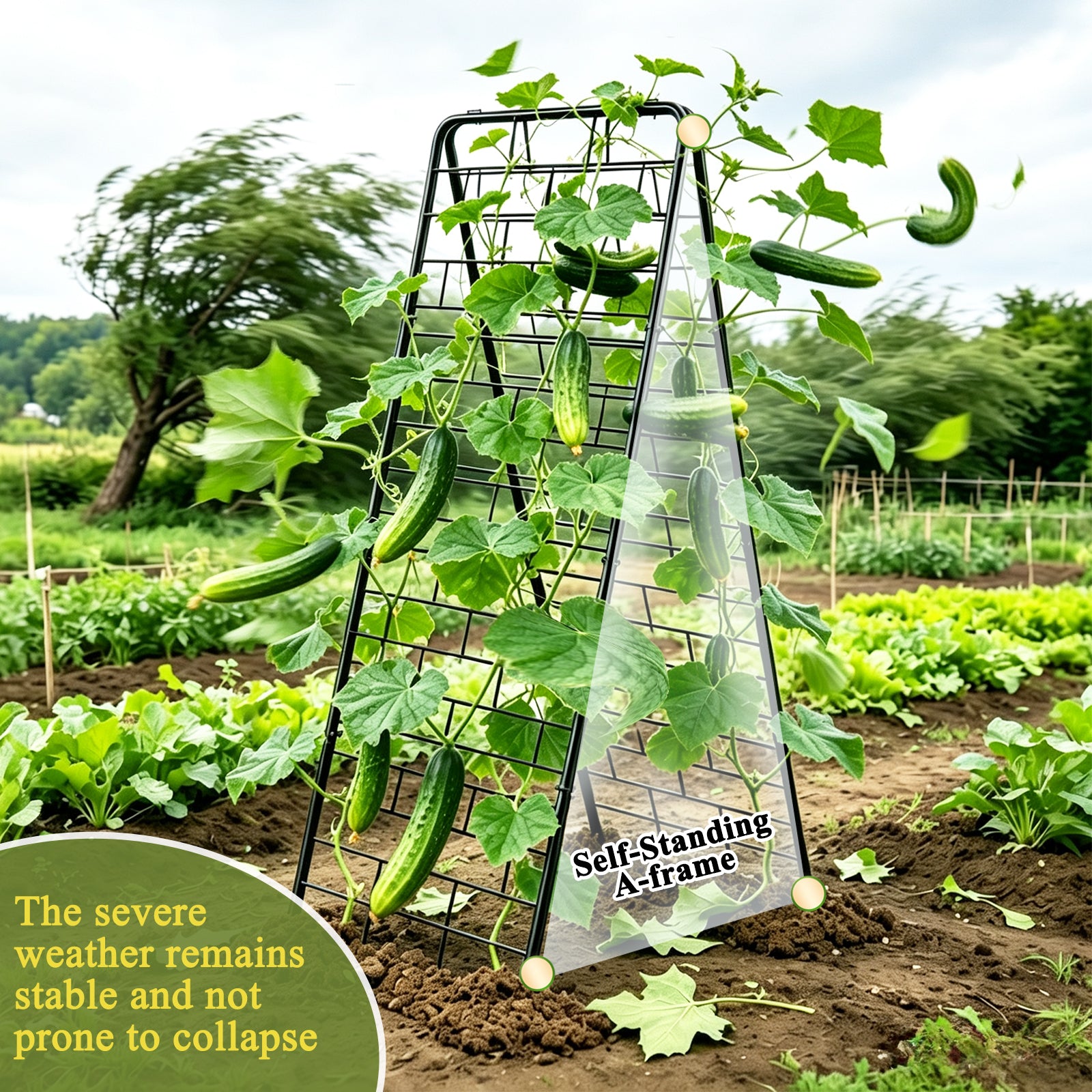 50"x17" A-Frame Cucumber Trellis for Raised Bed, Heavy Duty All-Metal Support for Climbing Plants, Cucumbers, Tomatoes & Beans, Easy Assembly, with Bonus Shears & Accessories, 1 Pack, Black,