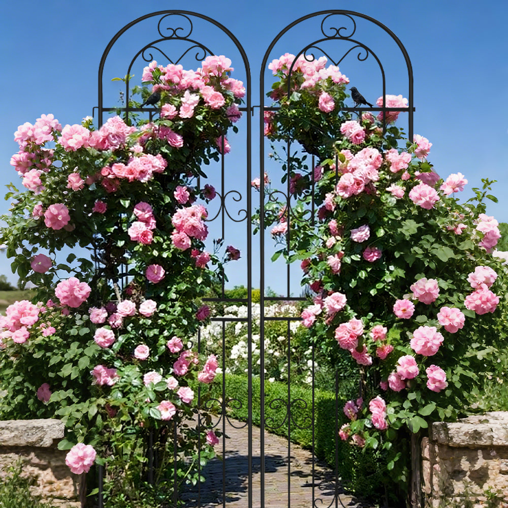 2 Pack 86.7" H x 19.7" W Metal Garden Trellis for Climbing Plants Outdoor, Black Lattice Panel, Sturdy Plant Support for Roses, Vines, Cucumbers & Vegetables
